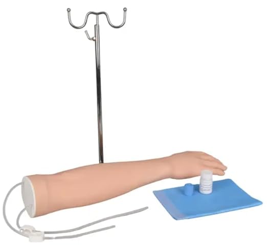 Adult IV Training Arm, Medical Practice Model for Phlebotomy and Venipuncture, with Silicone Skin